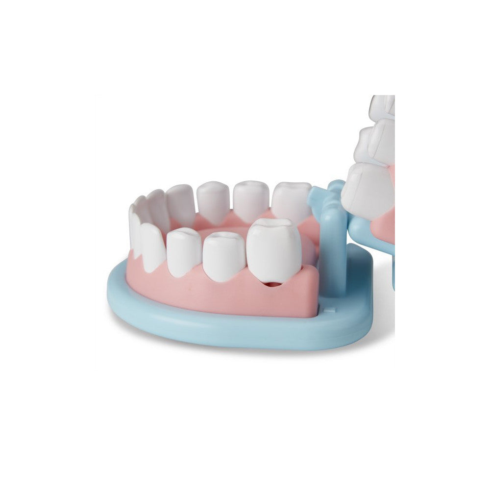 Super Smile Dentist Kit- Play Set (25 Pcs)