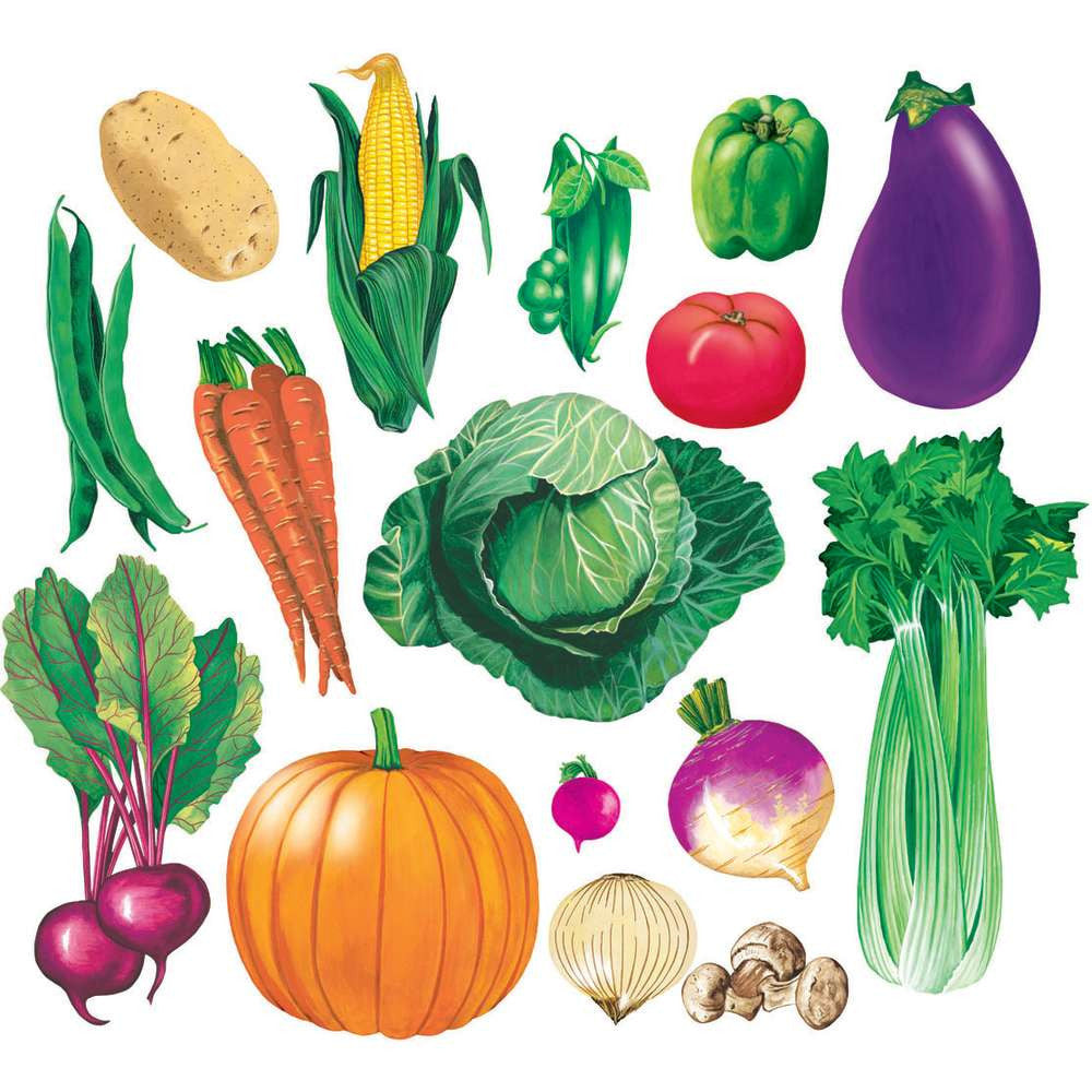 Healthy Food Flannelboard Set - Vegetables (16pcs)