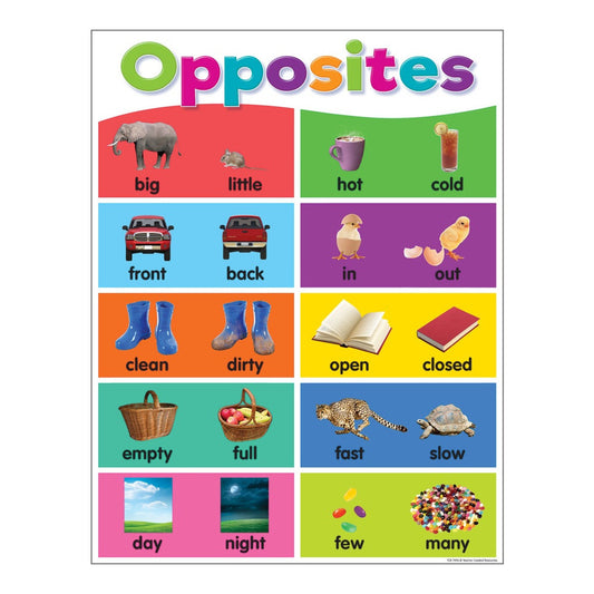 Colorful Opposites Chart